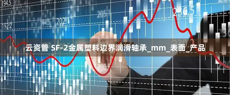 云资管 SF-2金属塑料边界润滑轴承_mm_表面_产品