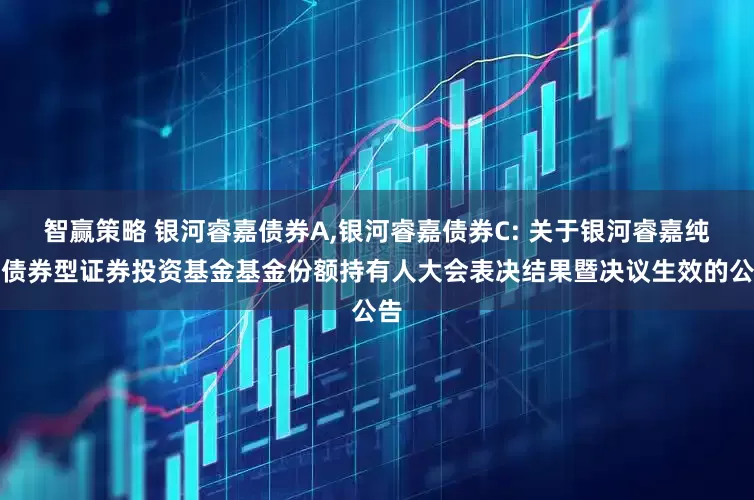 智赢策略 银河睿嘉债券A,银河睿嘉债券C: 关于银河睿嘉纯债债券型证券投资基金基金份额持有人大会表决结果暨决议生效的公告