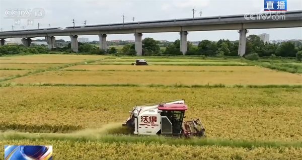 九鼎 良机良种良技绘就早稻好“丰”景&#32;“新农人”正逐渐成为“兴农人”