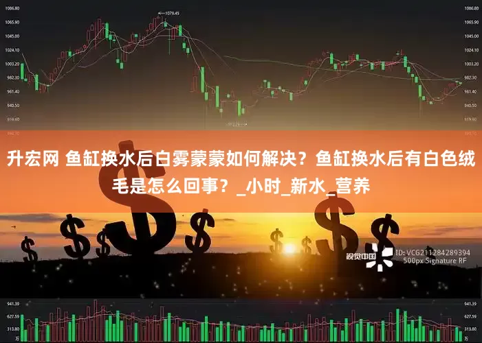 升宏网 鱼缸换水后白雾蒙蒙如何解决？鱼缸换水后有白色绒毛是怎么回事？_小时_新水_营养