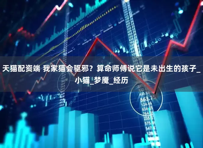 天猫配资端 我家猫会驱邪？算命师傅说它是未出生的孩子_小猫_梦魇_经历
