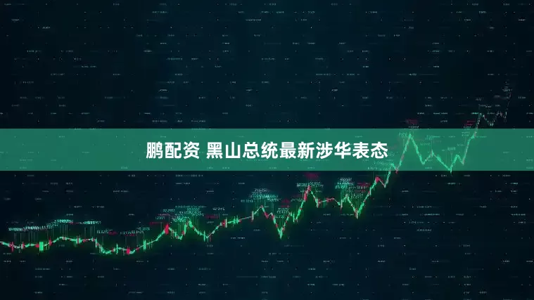 鹏配资 黑山总统最新涉华表态